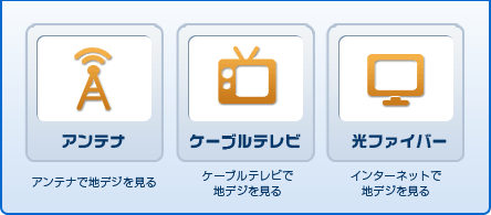 地上デジの視聴種類